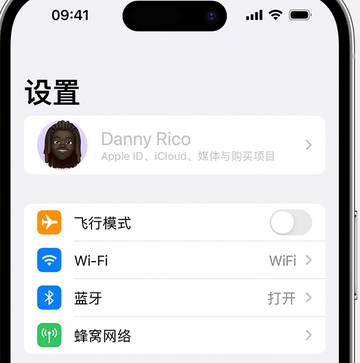 汉阴appleID维修服务iPhone设置中Apple ID显示为灰色无法使用