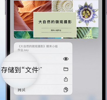 汉阴apple维修中心分享iPhone文件应用中存储和找到下载文件