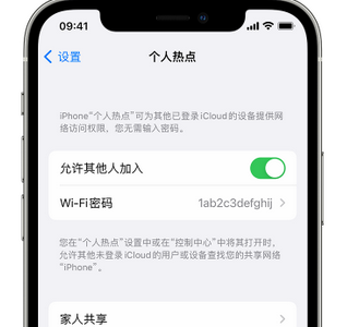 汉阴apple服务站点分享iPhone上个人热点丢失了怎么办 