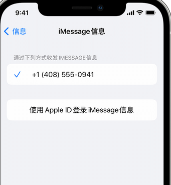 汉阴apple维修iPhone上无法正常发送iMessage信息 