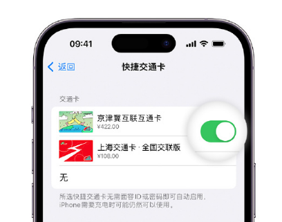 汉阴apple维修点分享iPhone上更换Apple Pay快捷交通卡手绘卡面 