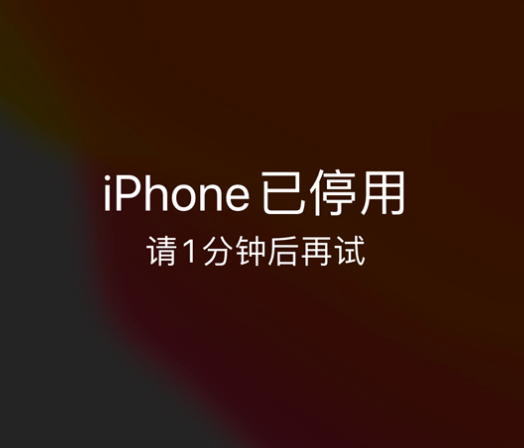 汉阴苹果手机维修分享:iPhone 显示“不可用”或“已停用”怎么办？还能保留数据吗？ 