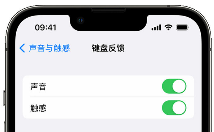 汉阴苹果手机维修分享iPhone 14触感键盘使用方法 