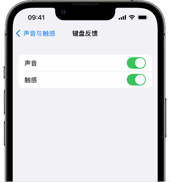 汉阴苹果14维修店分享如何在 iPhone 14 机型中使用触感键盘 