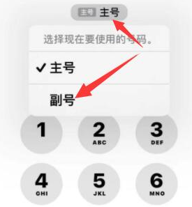 汉阴苹果14维修店分享iPhone 14 Pro Max使用副卡打电话的方法 