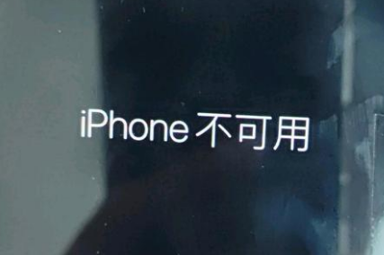 汉阴苹果服务网点分享锁屏界面显示“iPhone 不可用”如何解决 