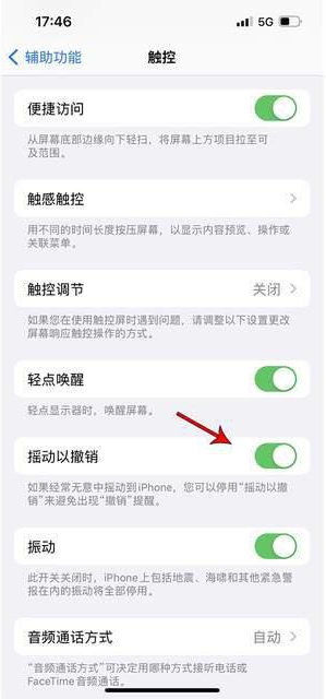 汉阴苹果手机维修分享iPhone手机如何设置摇一摇删除文字 